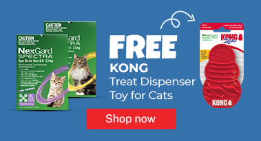 Nexgard Cat
