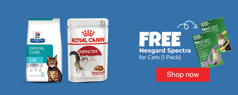 Nexgard Cat