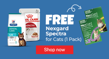 Nexgard Cat