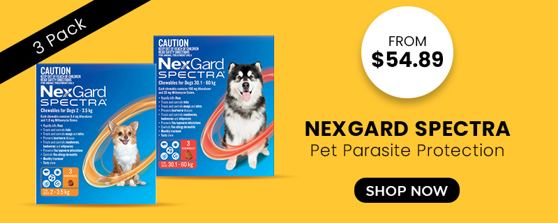 nexgard Spectra
