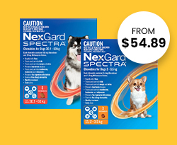 Nexgard Spectra