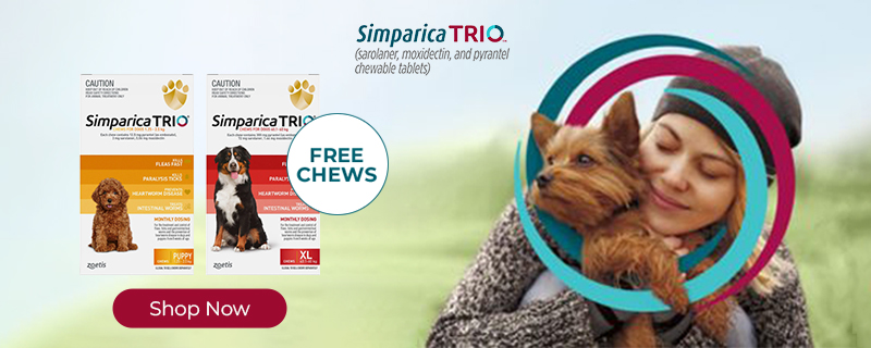 Simparica Trio