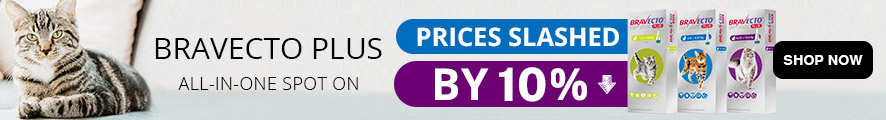 Bravecto Plus Tropical Solution for Cats