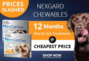 Nexgard For Dogs