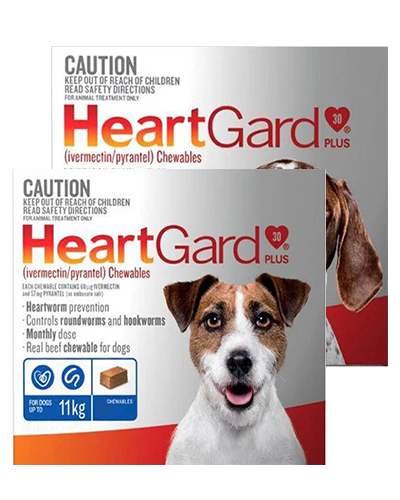 Heartgard Plus