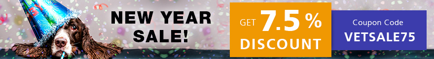 New Year Sale