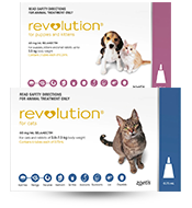 Revolution