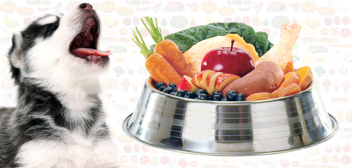 fruits and vegetables nutrition for Pets
