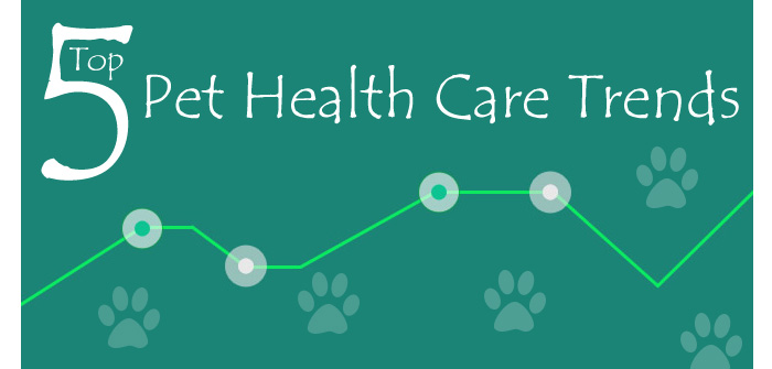 Pet Health Care