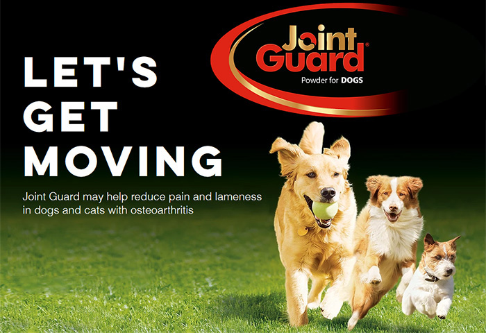 Joint guard chews for dogs sale