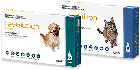 revolution flea control for dogs