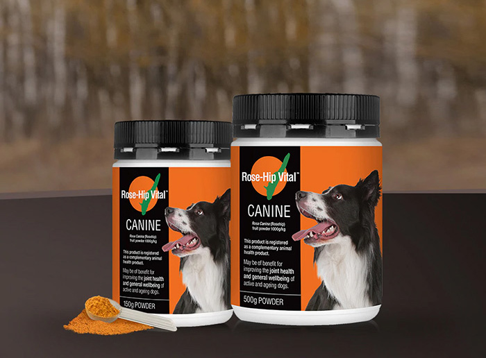 is rosehip powder good for dogs