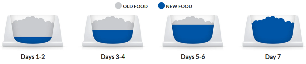old new food