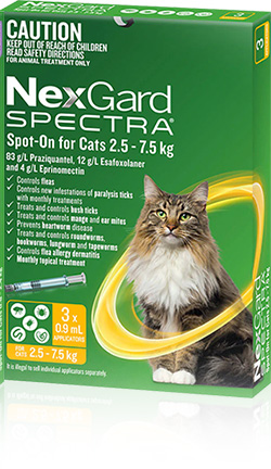 Nexgard spectra shop for cats