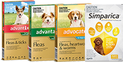 Flea, Tick & Wormers