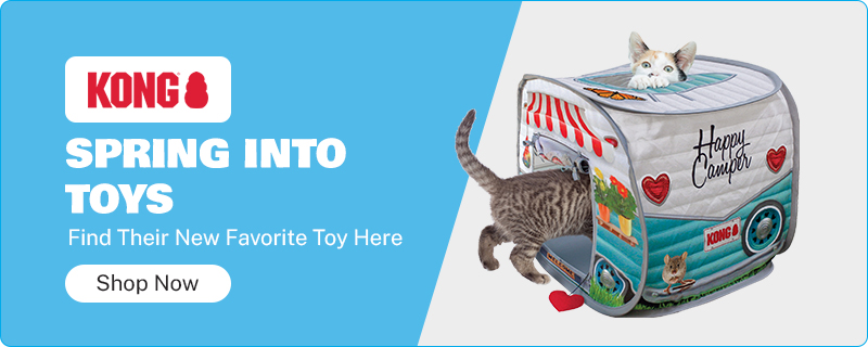 Cat Toys