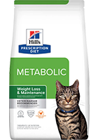 Hills Cat
