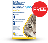 Revolution Plus