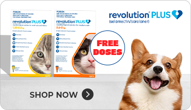 Revolution Plus