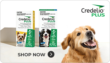 credilo plus dog