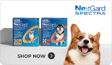 nexgard spectra dog