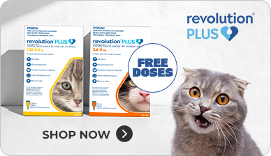 Revolution Plus