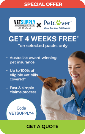 special Offer
