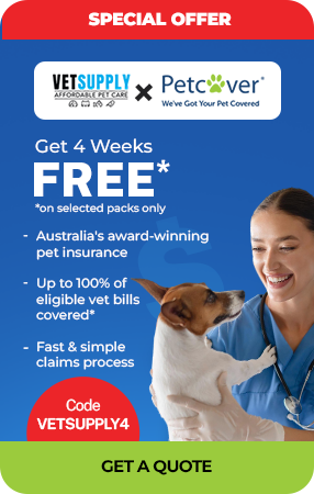 special Offer