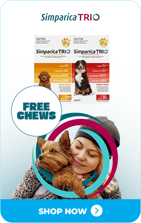 Simparica Trio