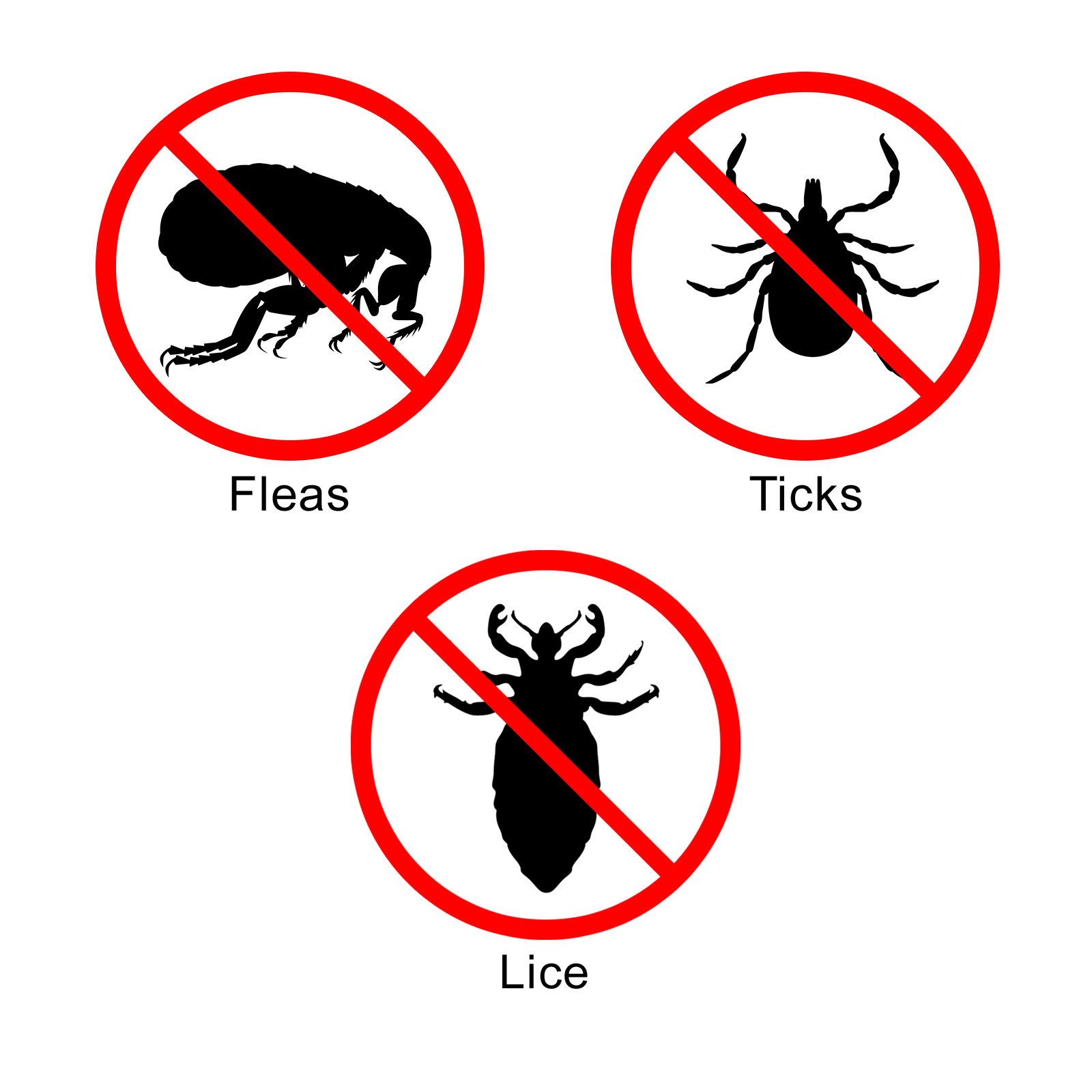 cheapest frontline spray