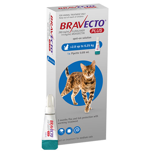 bravecto-plus-for-medium-cats-2-8-6-25-kg-blue-24-95