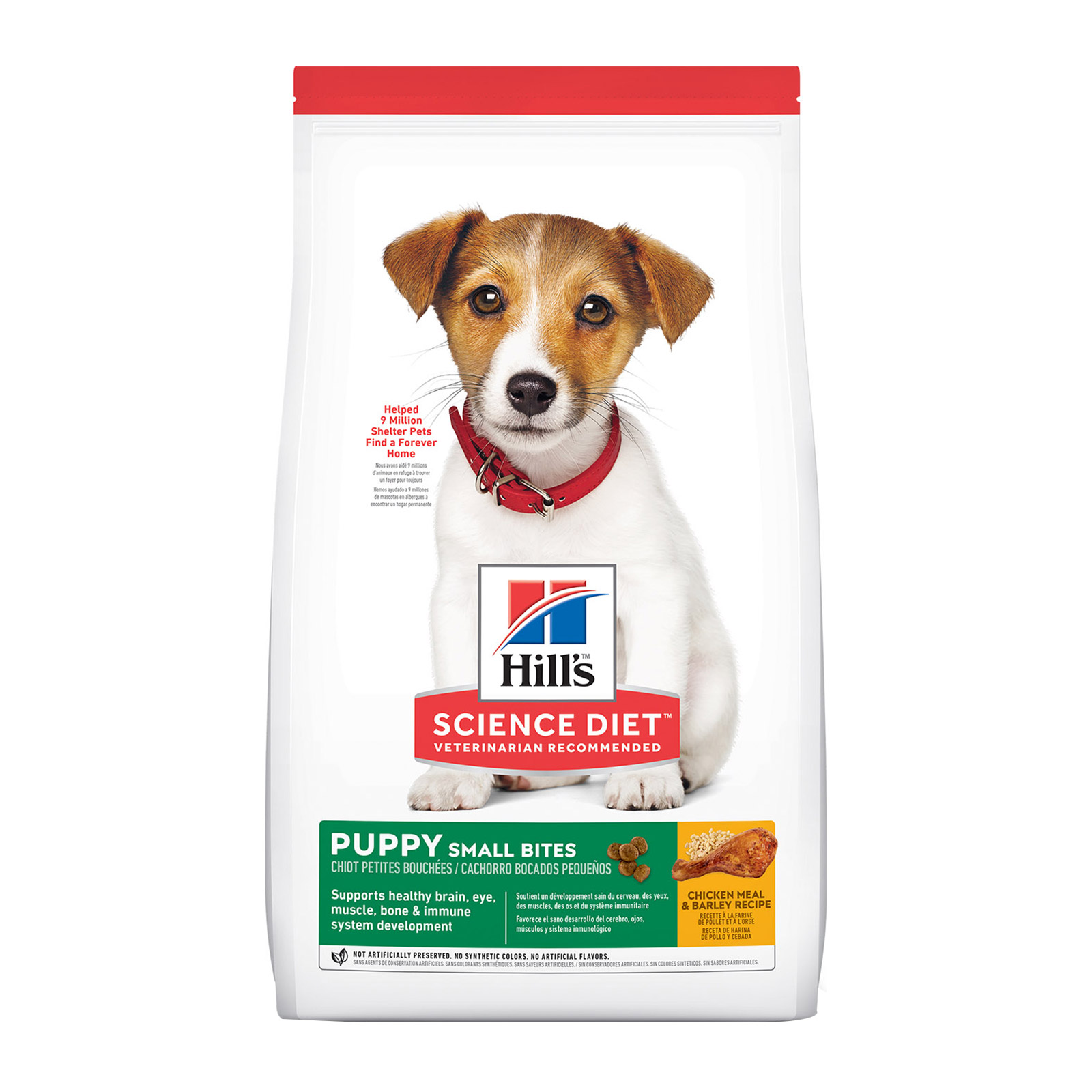 dry dog food online