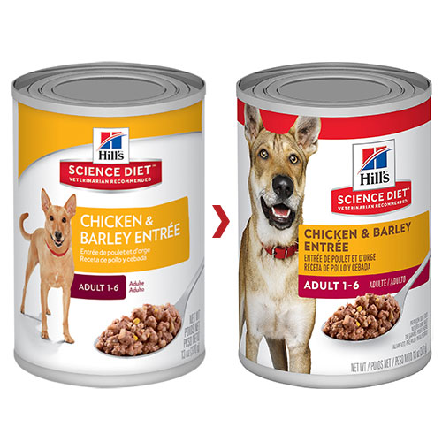 Hills Science Diet Adult Chicken & Barley Entrée Canned Dog Food 370 Gm