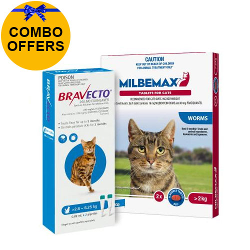 Bravecto Spot On for Medium Cats 2.8 6.25kg (Blue) 2 Pack