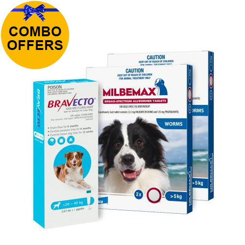 Bravecto Spot On + Milbemax Combo Pack For Dogs for Dogs 20-40kg (Large Dogs - Aqua)