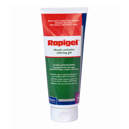 Buy Rapigel 250g For Horses