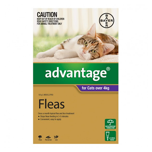 Cheap Cat And Dog Flea Treatment Cheap Cat And Dog Flea Treatment