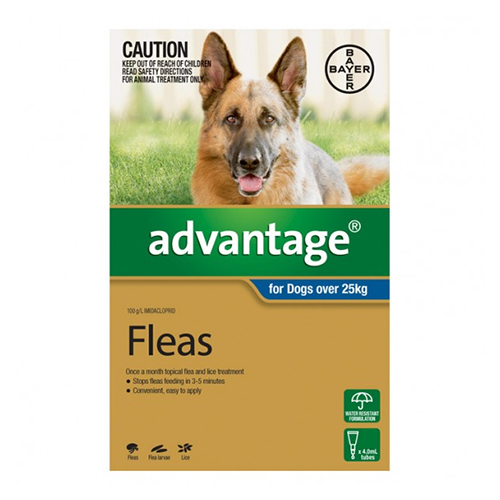 Advantage For Large Dogs To Kg Advantage For Large Dogs To Kg