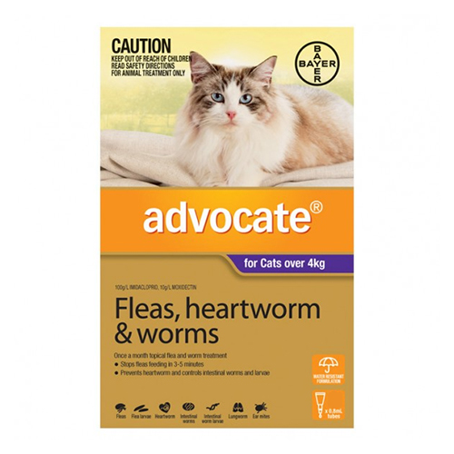 Advocate for Cats Cheap Advocate for Cats Buy Advocate Flea and