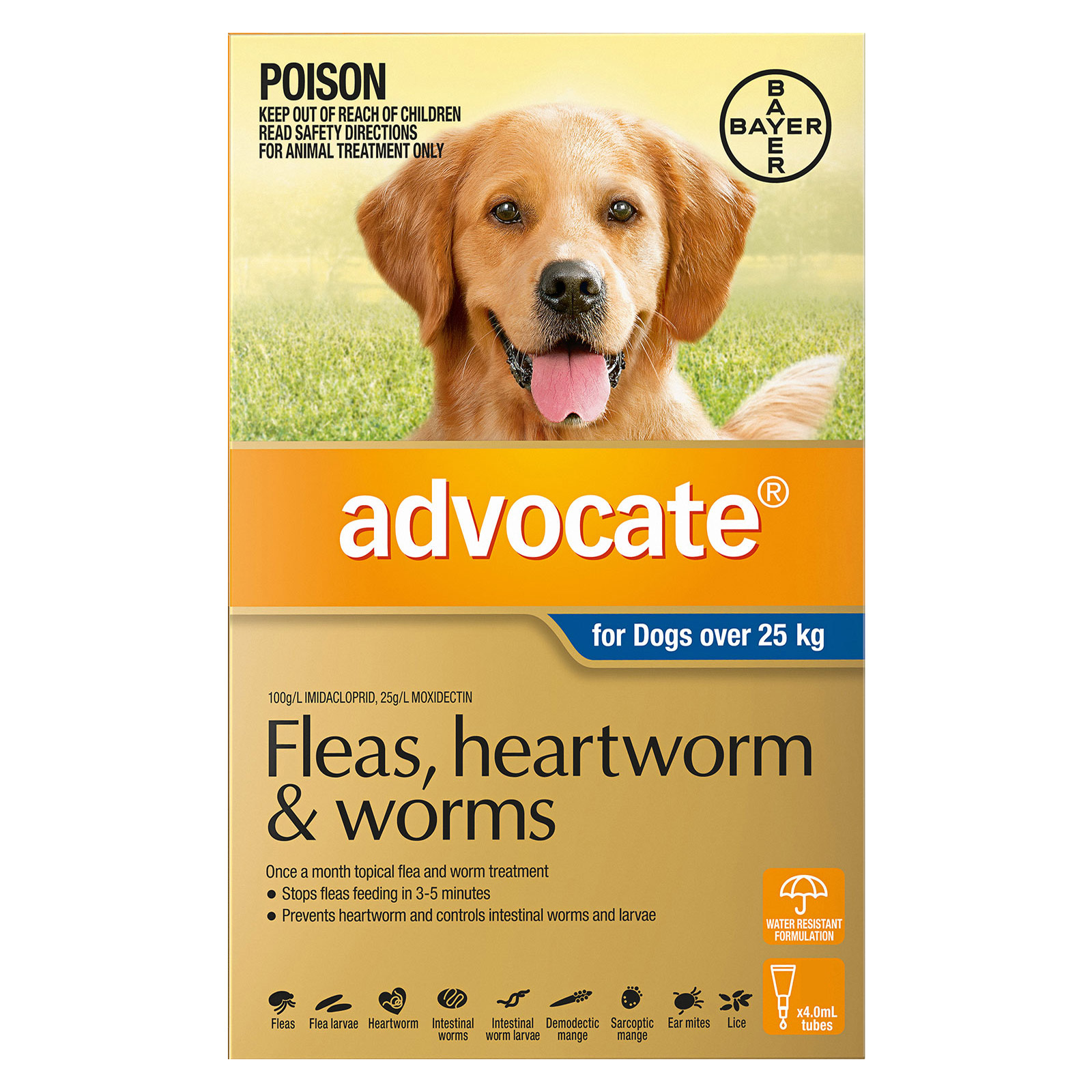 Advocate for Dogs Flea Heartworm Worm Treatment