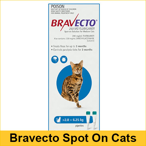 Bravecto Spot On For Medium Cats (2.8 - 6.25 kg) Blue