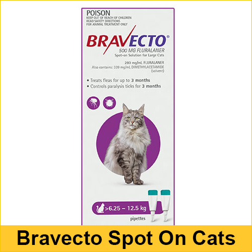 Bravecto Spot On For Large Cats (6.25 - 12.5 kg) Purple