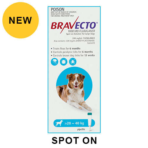 Bravecto Spot On for Large Dogs (20 - 40 kg) Aqua
