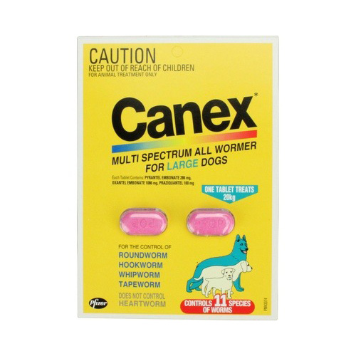 Buy Canex AllWormers for Dogs and Puppies