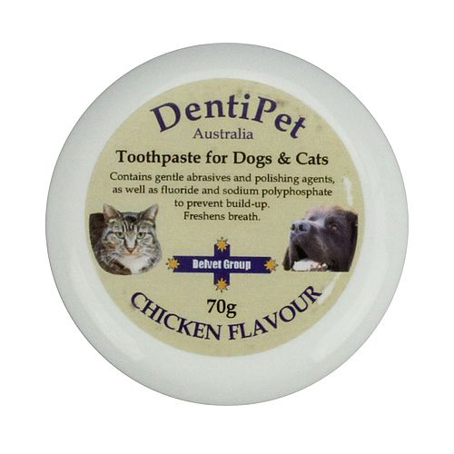 Dentipet Dog & Cat Toothpaste 70g Chicken Flavour Buy Dentipet