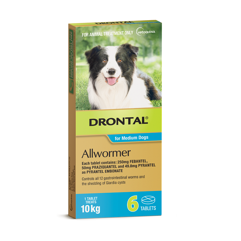 drontal chewable