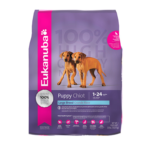 Eukanuba Puppy Large Breed Formula