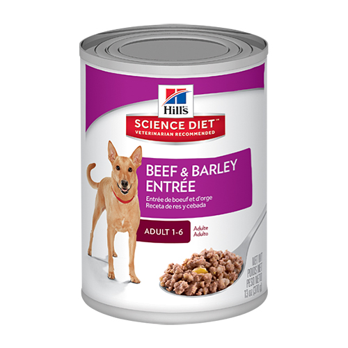 Hills Science Diet Adult Beef And Barley Entre Dog 