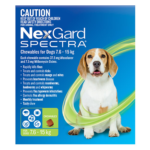 nexgard dogs