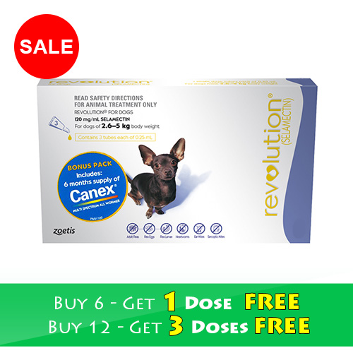 Revolution for Dogs Buy Revolution Flea Treatment Online Revolution